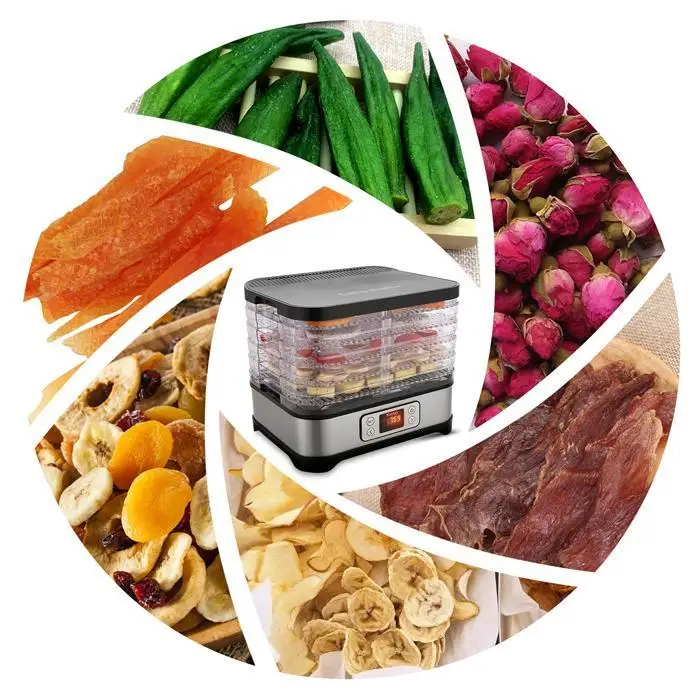 Машина для сушки пищевых продуктов профессиональная электрическая