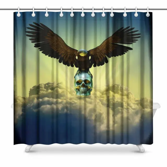 aplysia bald eagle perched