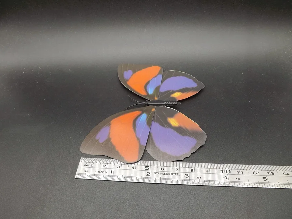 I240-Butterfly (10)