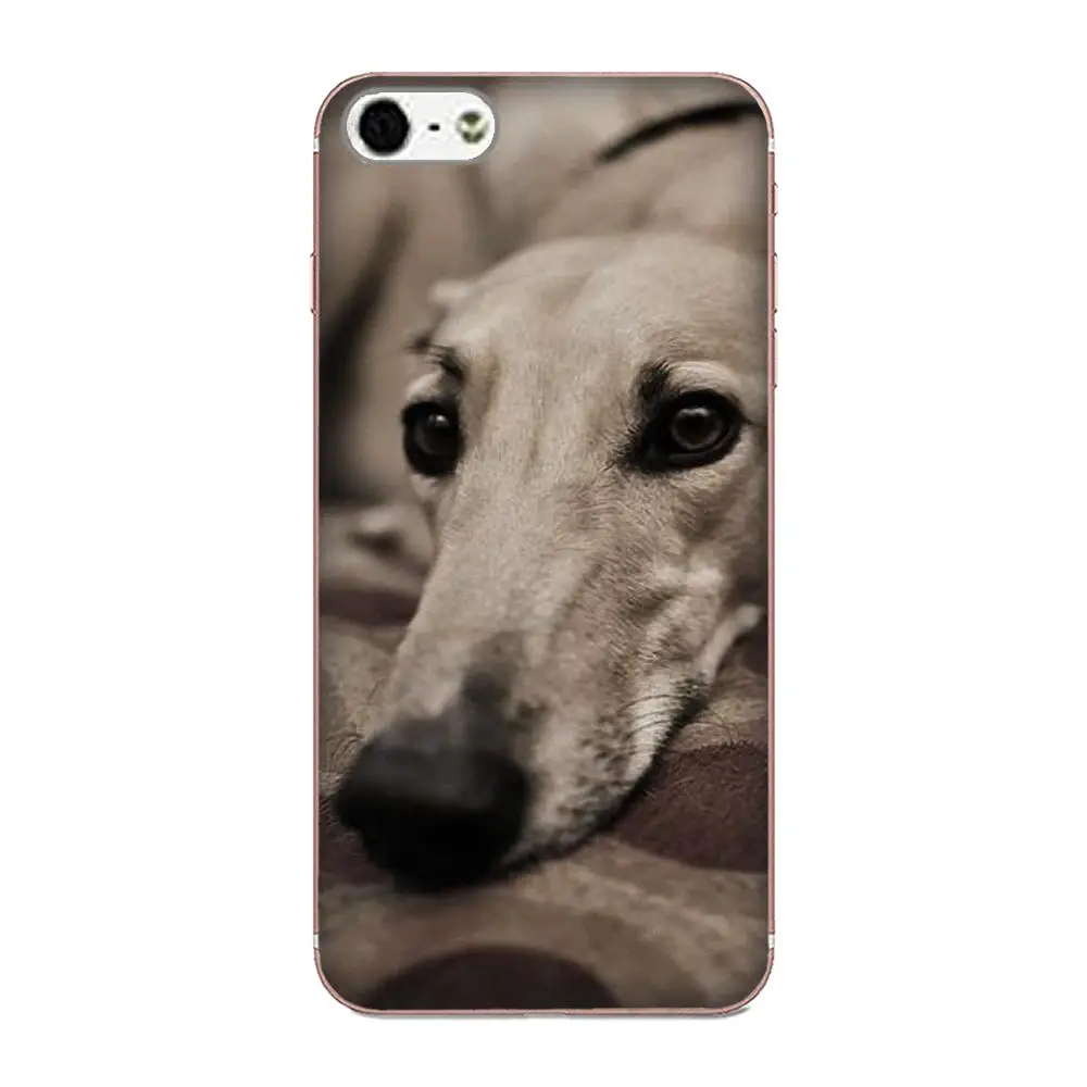 Мягкие чехлы из ТПУ Galgo Greyhound Dog для Xiaomi Redmi Mi Note 7 8 9 SE Pro Lite Go Play|Чехлы-накладки| |