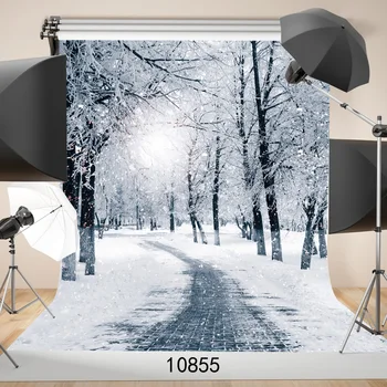 

Forbidden Forest Walkway Snow Covered Photography Background For Wedding Children Baby Shower New Born Vinyl Cloth Backdrop