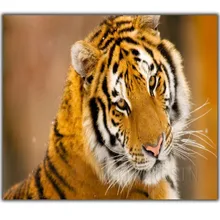 5D Diy Diamond Painting Cross Stitch Tranquil Tiger Needlework 3D Diamond Embroidery Full Round Mosaic Decoration Resin Stickers