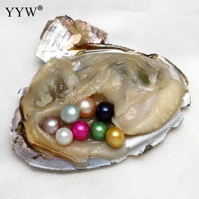 Mussel Shell Freshwater Oyster Wish Pearls 19 Color 7 8mm One Pearl Oyster with One Pearl DIY