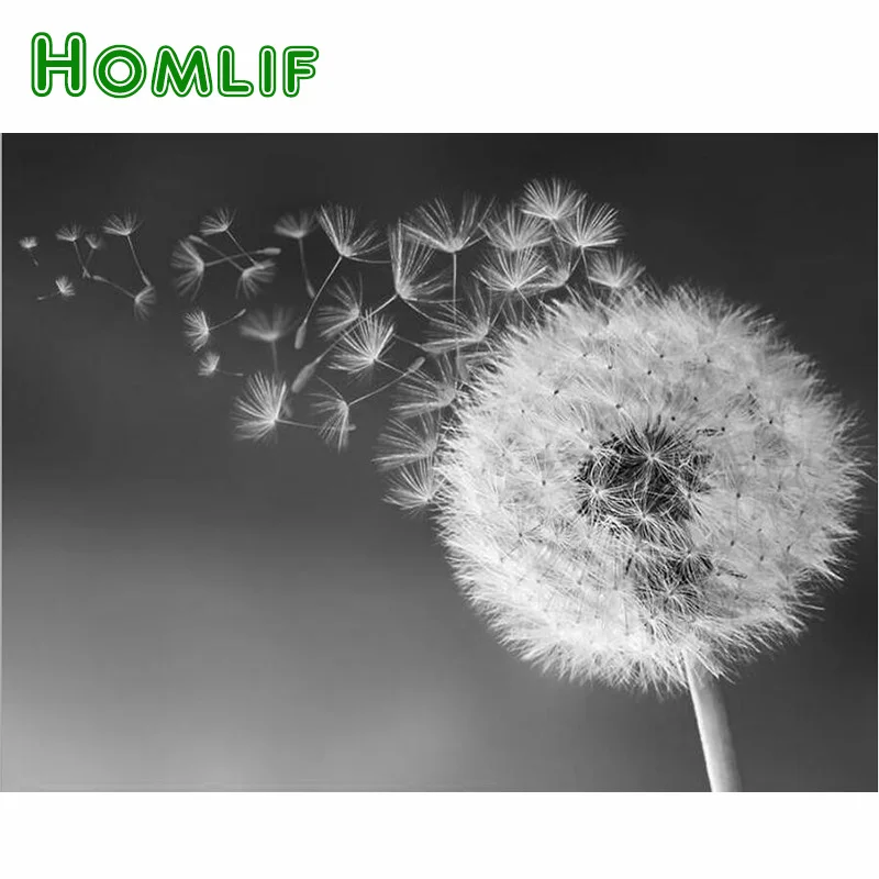

HOMLIF Diamond Painting Full Square Diamond"Dandelion"3D Embroidery Cross Stitch Rhinestone 5D DIY Mosaic Decor black white Art