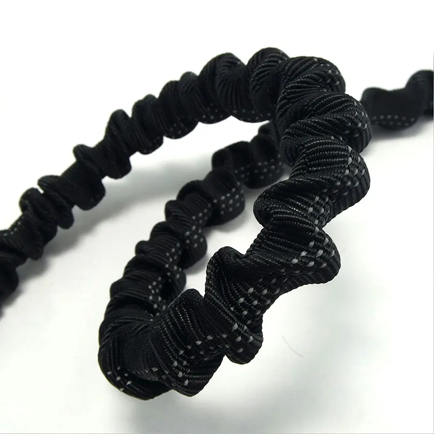 dog leash
