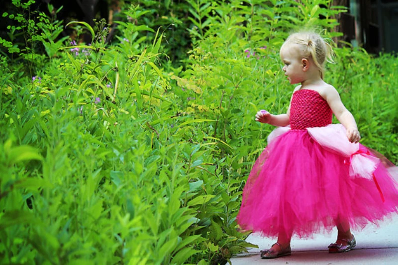 Sleeping Beauty Aurora Inspired Costume Tutu Dress4