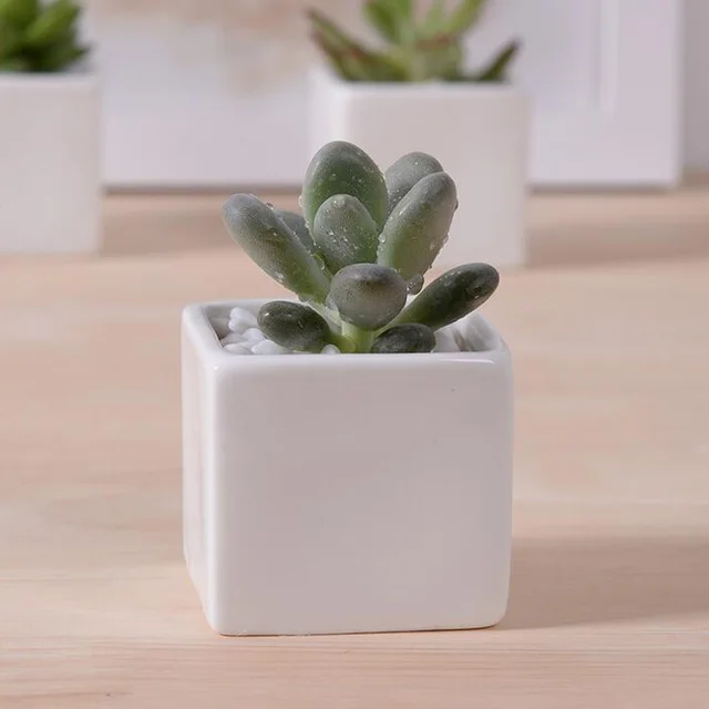 Hot Small Indoor Ceramic Flowerpot Rectangular Bonsai Pot Hot Small Indoor Ceramic Flowerpot Rectangular Bonsai Pot Desktop Decor White Planter For Succulent Garden Supplies