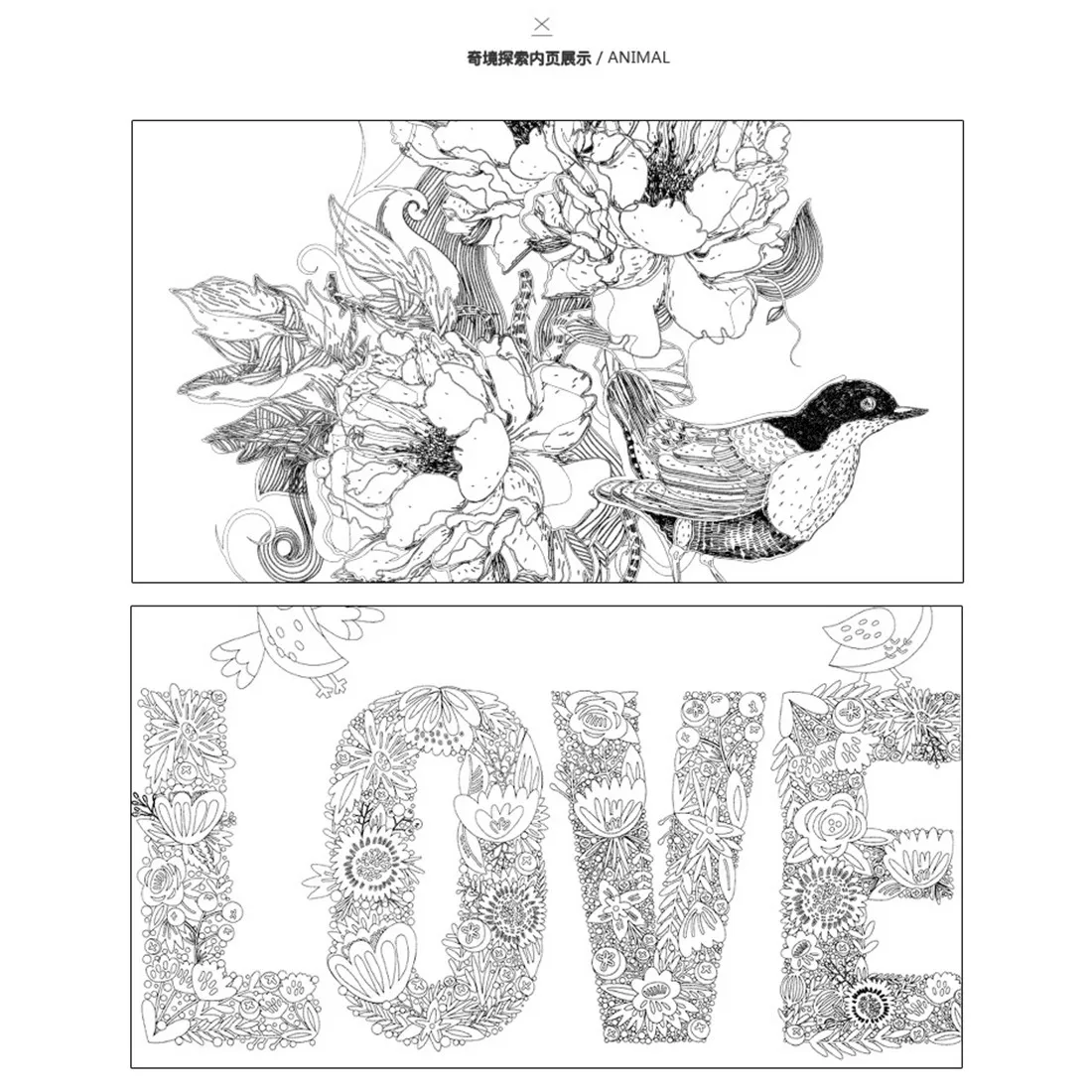 Secret Garden An Inky Treasure Hunt Color Book For Kids Adults Pressure Relief Hot Sale And