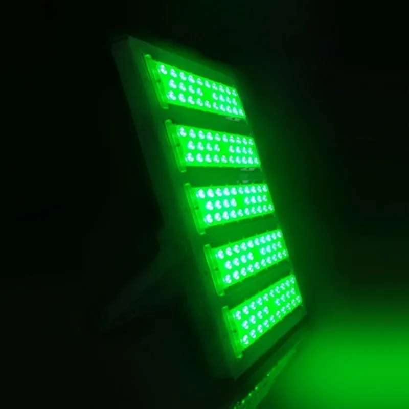 800(3)_