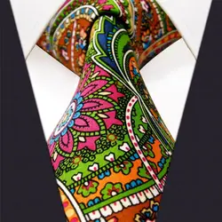 U31 Пейсли разноцветные галстуки для мужчин Галстук Шелковый печатных ручной работы