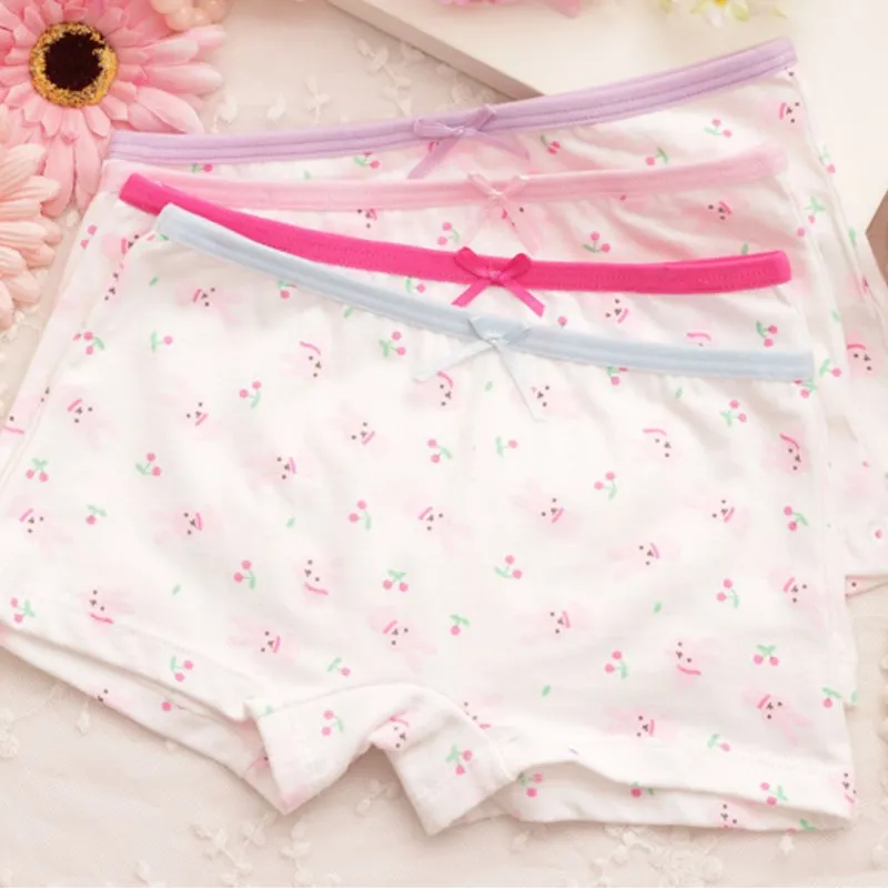 4Pcs/lot Cartoon Kids Girl Underwear for 2-9 Y girls underwear,girls panties,kids underwear,kids underwear sets