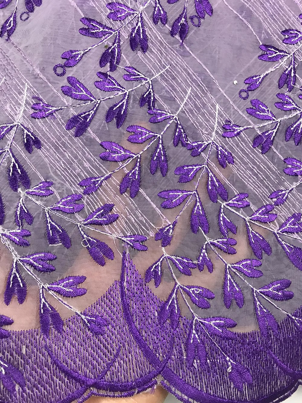 IMG_9743