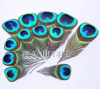 

Free shipping,50pcs 8-12 cm feathers peacock eye decoration