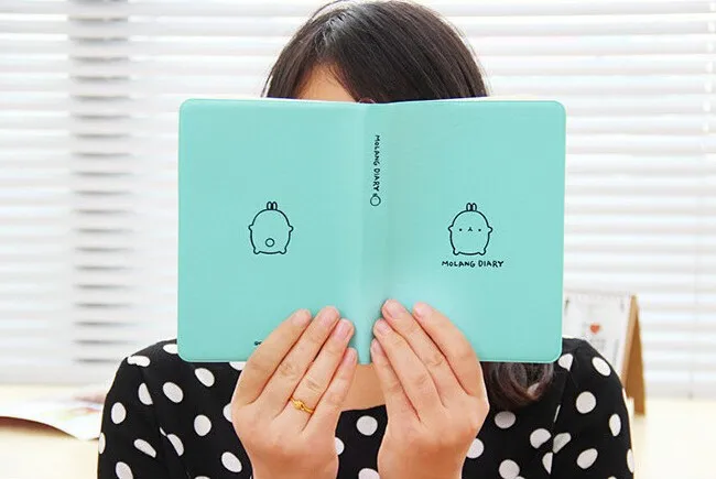 2015-2016 Cute Kawaii Notebook Cartoon Molang Rabbit Journal Diary Planner Notepad for Kids Gift Korean Stationery28