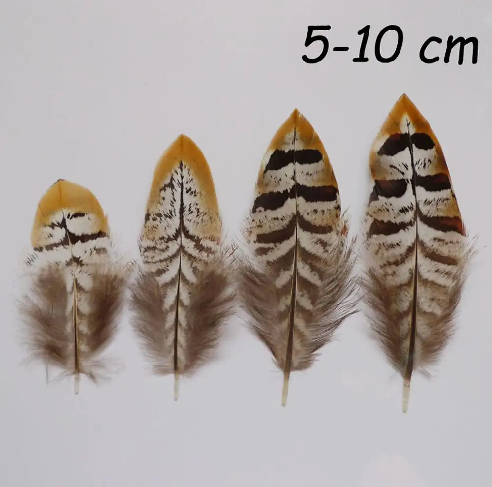 31 видов 20шт Натуральное перо из хвоста фазана ювелирные изделия Рождество праздник вечерние свадебные DIY ремесло украшение куриное перо - Цвет: di ji jian