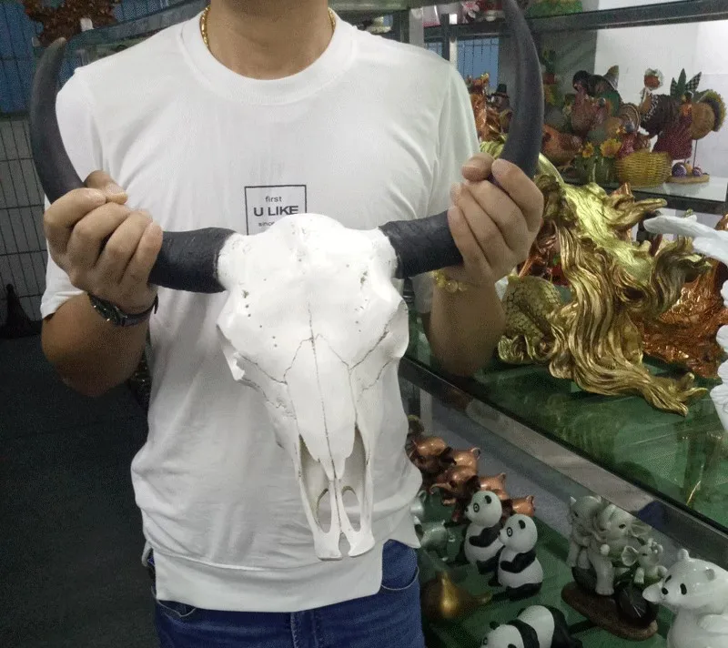 Длинный Рог корова череп настенный подвесной Longhorn Steer|longhorn|longhorn skull |