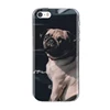 Phone Bags & Cases