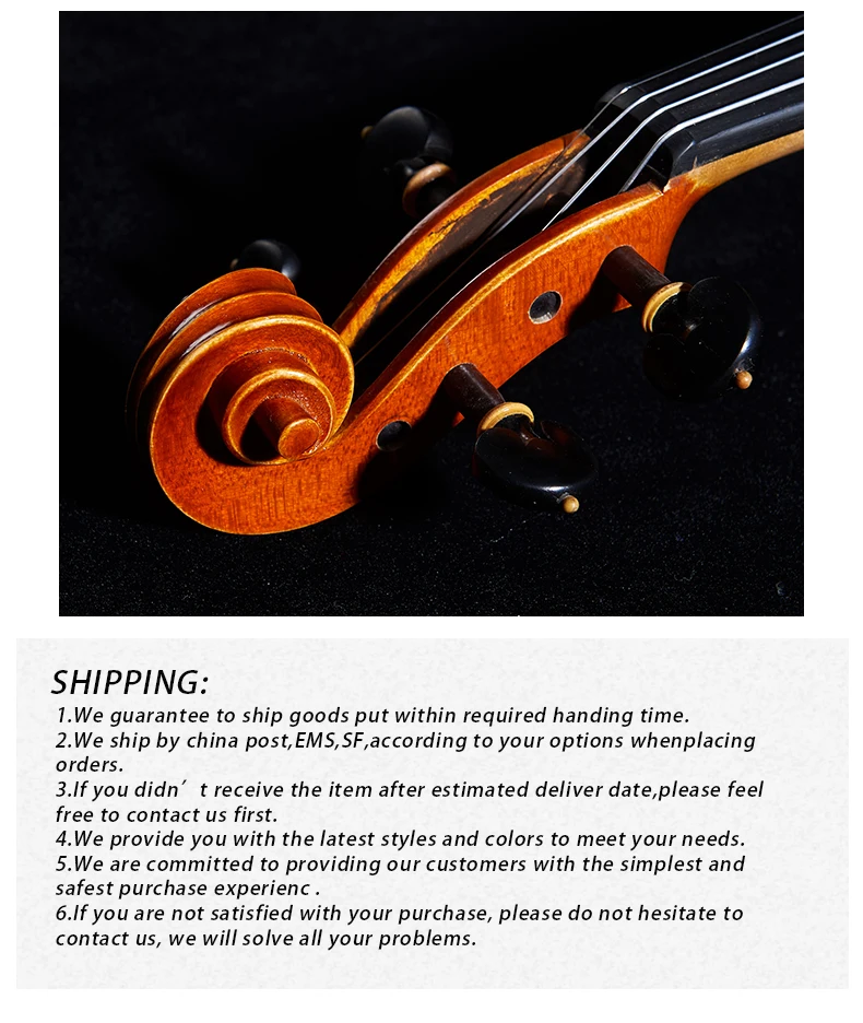 Скрипка ручной работы профессиональная производительность для или взрослых 3/4 4/4 скраипка отправить скрипки случае Германий импортные твердой древесины Vio