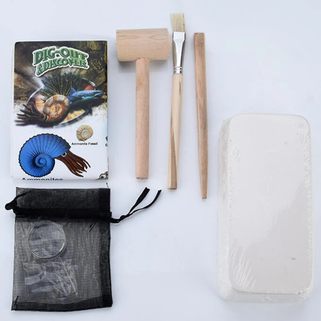 Fun Little Geologist Dig Out Rocks & Mineral Kit Earth Geology Science Toy Exploring Specimen Game