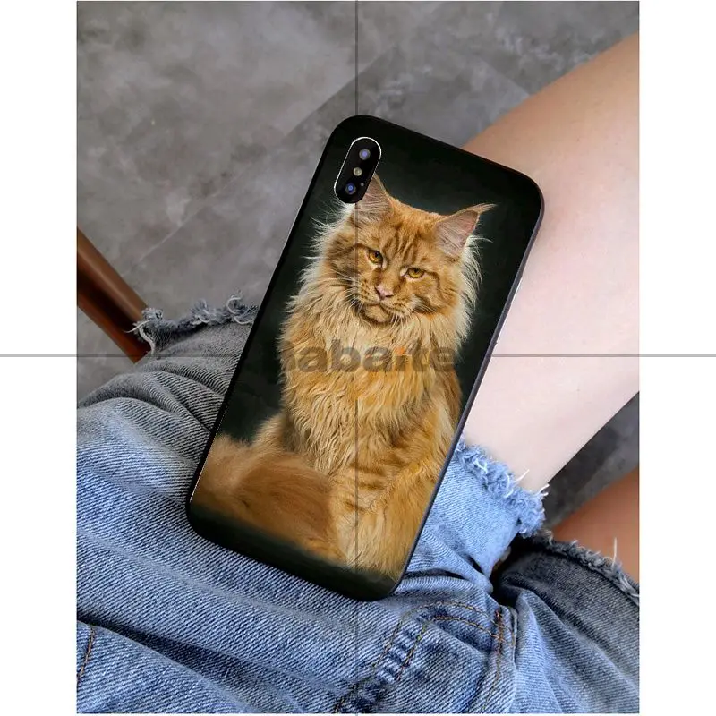 Babaite pet мейн-кун кошка черный мягкий силиконовый чехол для телефона чехол для Apple iPhone 8 7 6 6S Plus X XS MAX 5 5S SE XR Чехол для мобильного телефона s