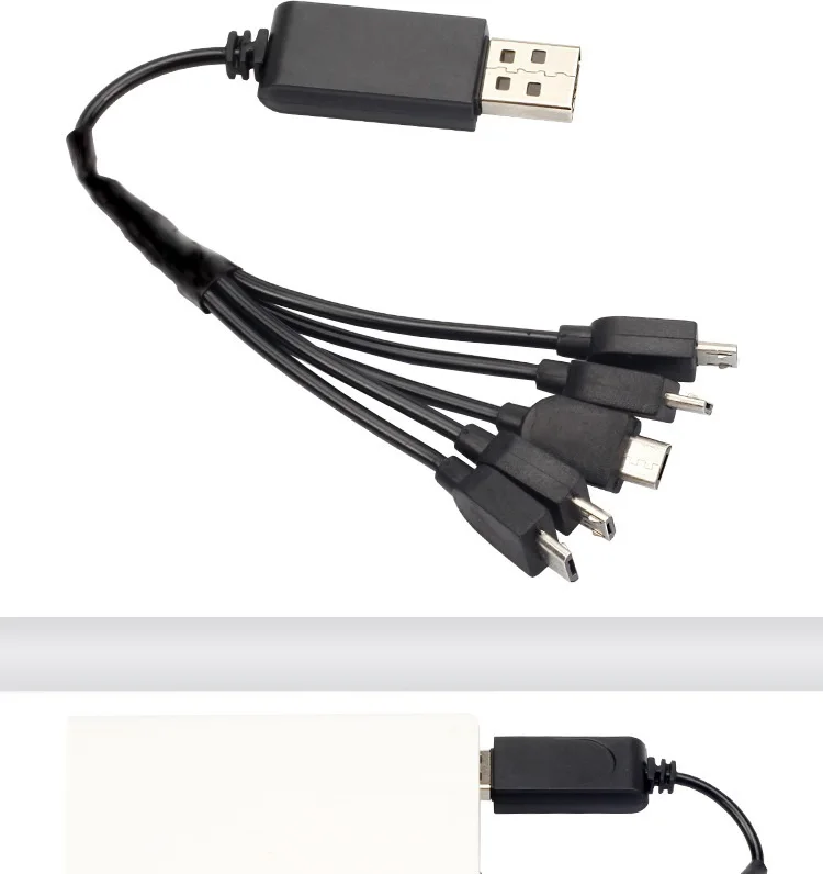 4457137945_939671484