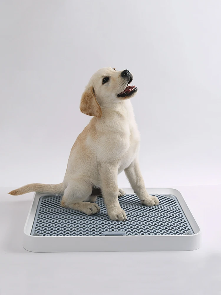 

Trainer Dog Toilet Teddy Dog supplies large dog potty dog urine basin flushing easy to clean up