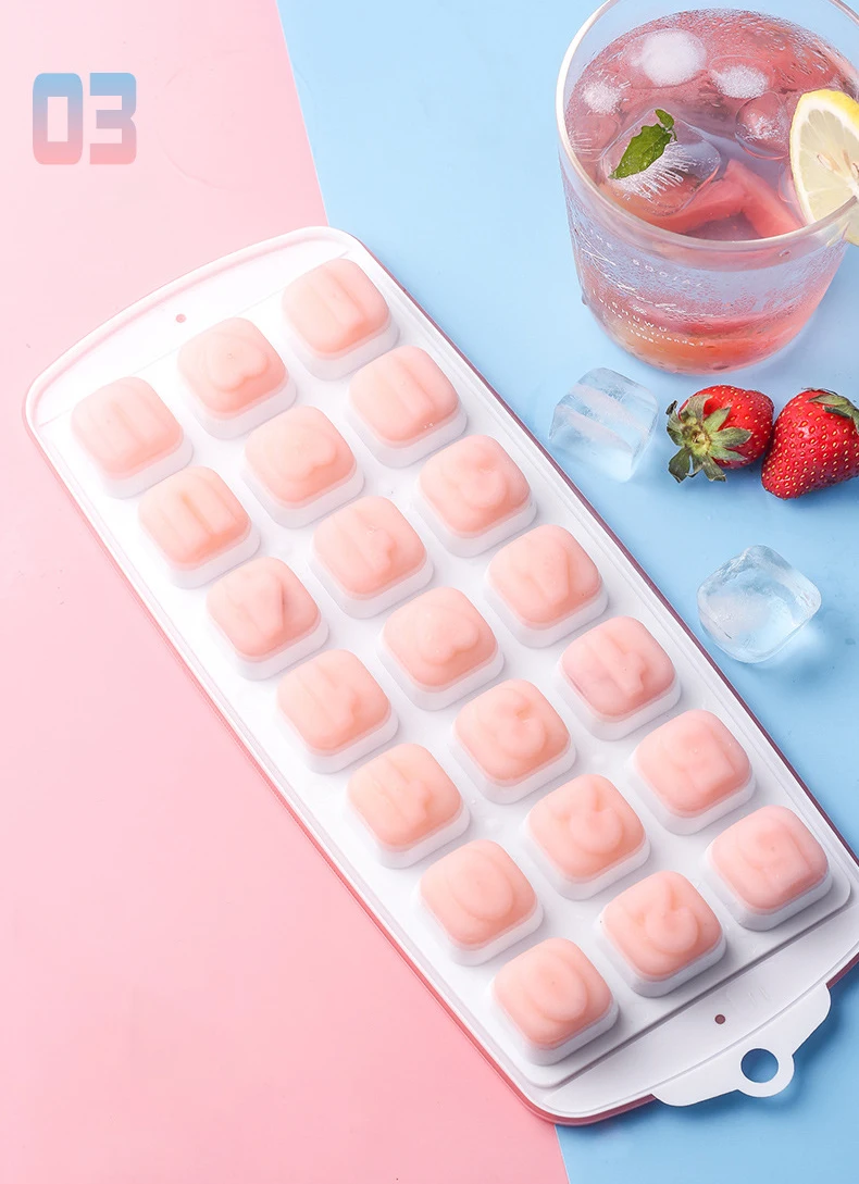 ice cube tray (1)