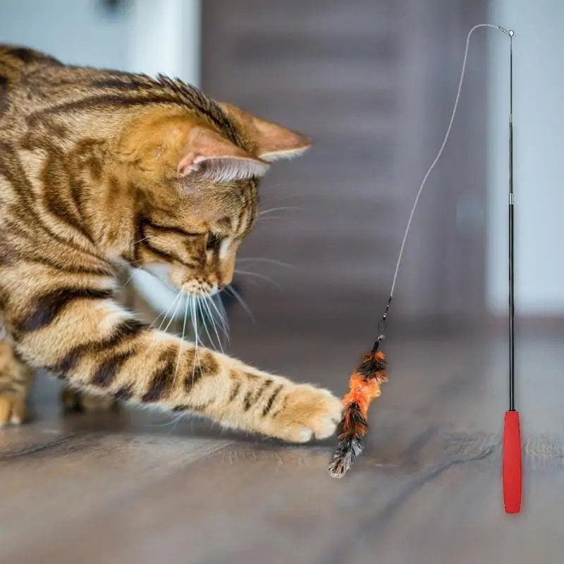9 шт./компл. кошка игрушка телескопическая палочки для кошек Дразнилка Интерактивная палочка игрушки игрушка и головной повязкой с пером сенными головками, набор