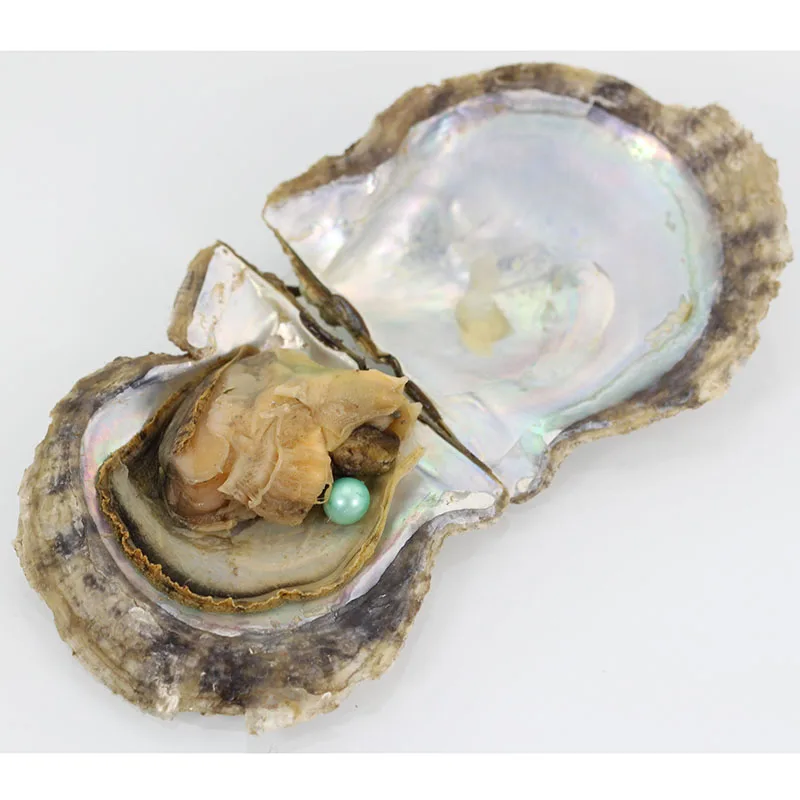 Mysterious pretty saltwater Oyster shell 7 8mm green color round Pearls