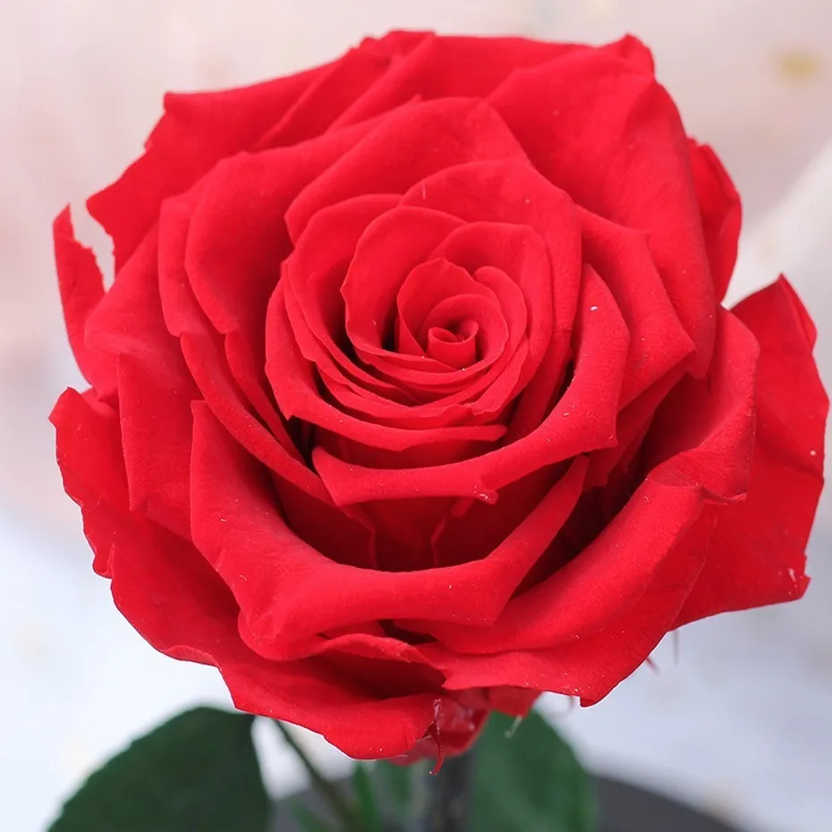 Искусственные цветы розы в стеклянном куполе светодиодный светильник деревянная основа для Дня матери подарки и День святого Валентина