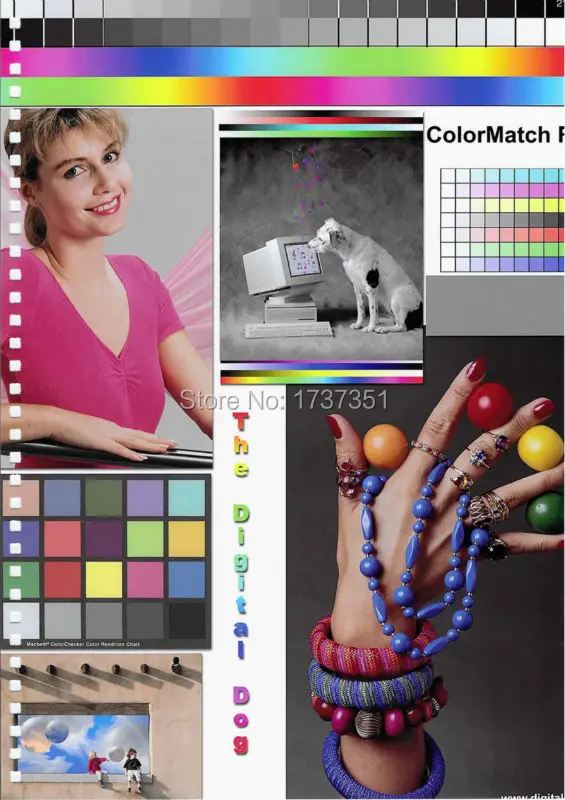 Epson Hp Canon Pigment ink dye ink (17)