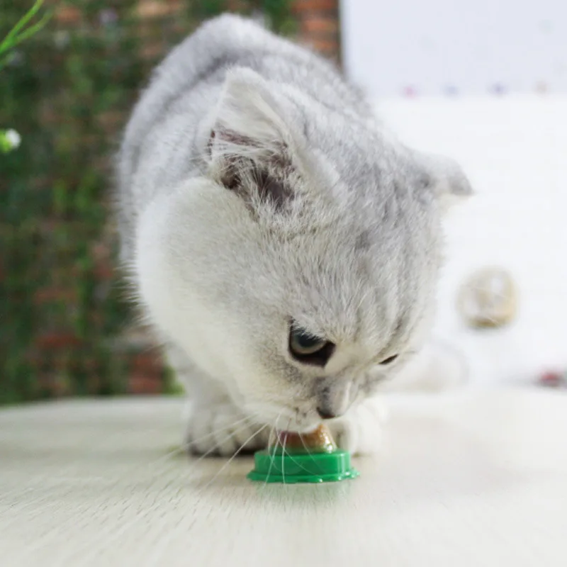 Cat Solid Nutrition Energy Ball Long-Term Consumption Effect Cat Mint Sugar Cream Nutrition Healthy Candy Licking Snack Toys Cat Solid Nutrition Energy Ball Long-Term Consumption Effect Cat Mint Sugar Cream Nutrition Healthy Candy Licking Snack Toys