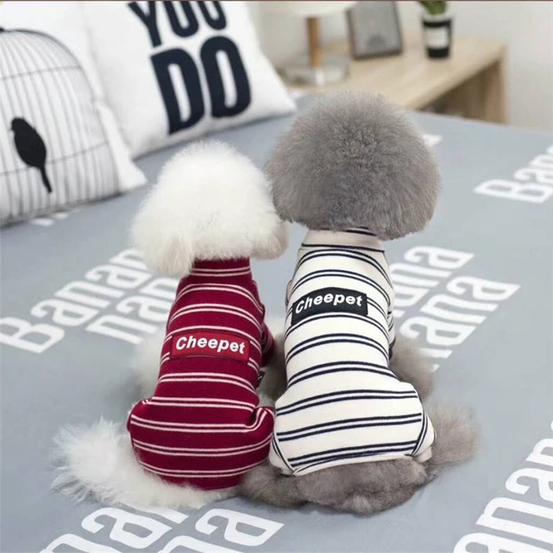 dog clothes winter (6)