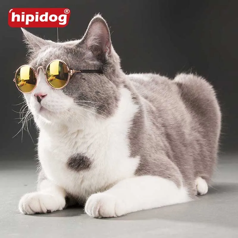Hipidog животное здорово Очки модные с коробкой Pet Товары для собак Cat Солнцезащитные