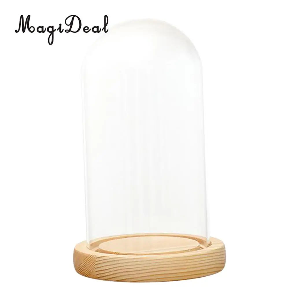 MagiDeal Clear Glass Display Dome with LED Wood Base Microlandscape Holder