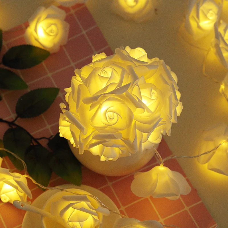 2345_image_file_copy_15