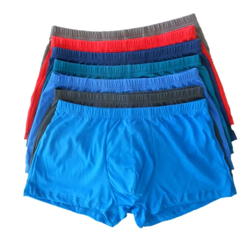 boxers 15