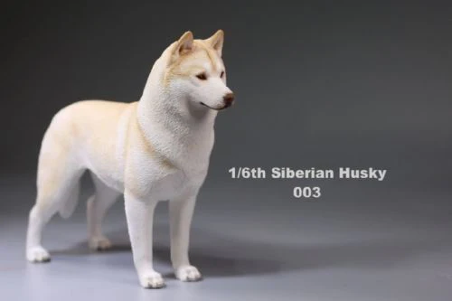6 цветов, аксессуары для 1:6, Siberian Husky Simulation animals, фигурка для шестилетней собаки, модель игрушки для 12 дюймов, фигурка - Цвет: 003