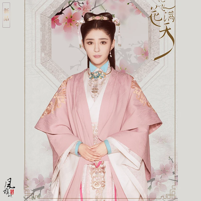 Li ion аккумулятор xin'ai 2 вида конструкций богатый горничной костюм Hanfu Ming династия песен-американских танцев для девочек костюм для ТВ играть