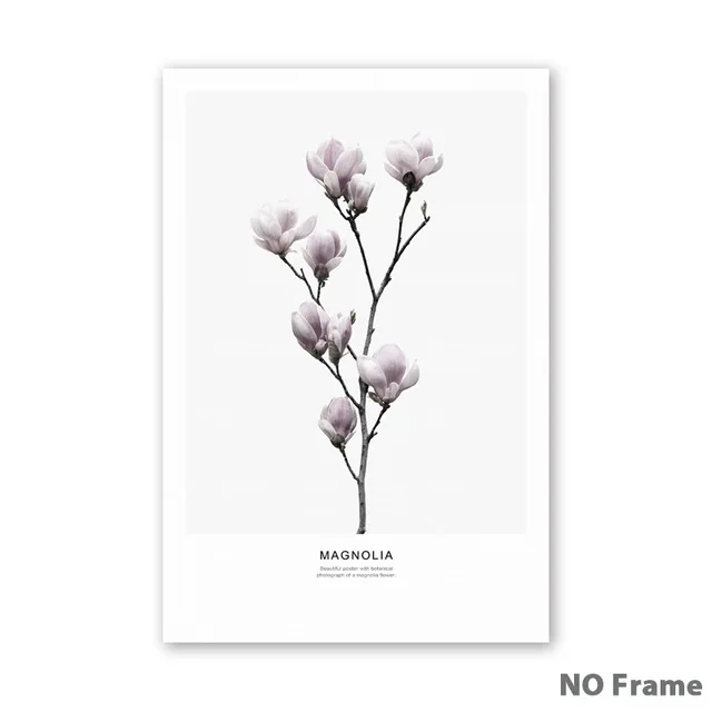 Simple-Nordic-Flower-Lotus-Brassica-Magnolia-Canvas-Art-Prints-posters-Living-Room-Wall-Pictures-Home-Decor.jpg_640x640 (1)