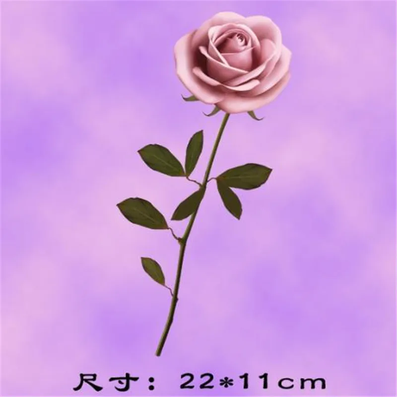360-165712156