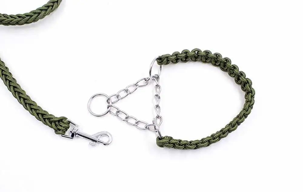 10 Collars, Harnesses & Leads