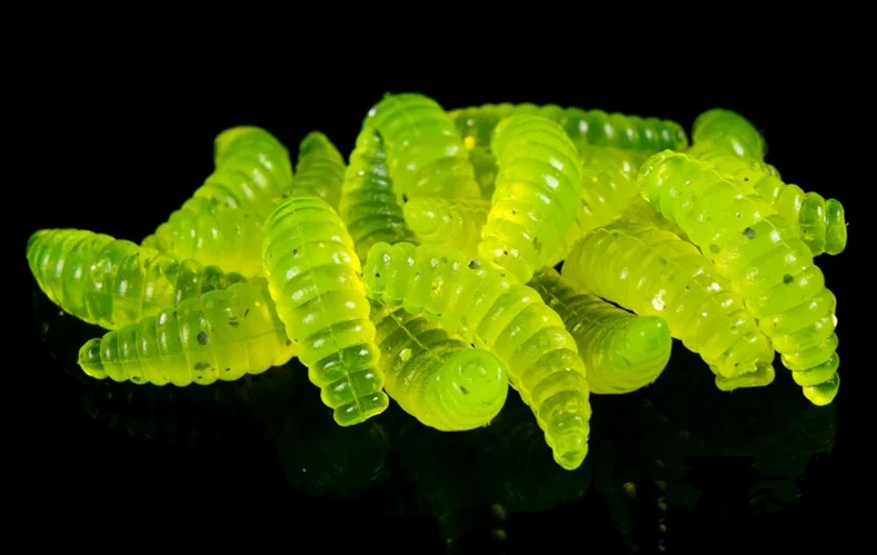 面包虫yellow