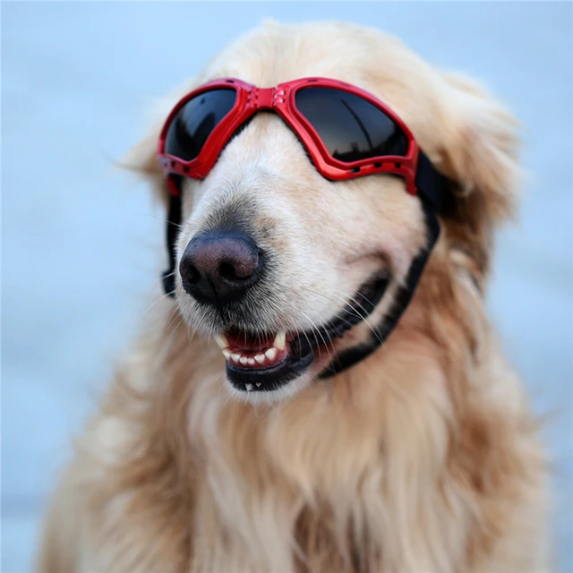 Retro Hundesonnenbrille - UV-Schutz, Winddicht, Verstellbar Für Mittelgroße Hunde