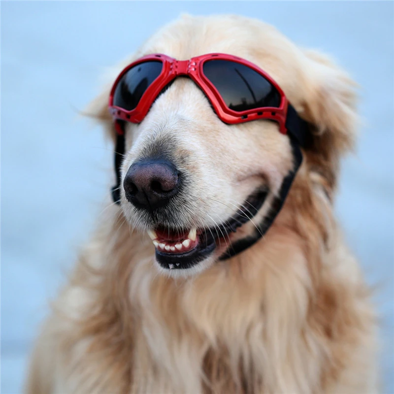 Handsome Dog Sunglasses Windproof Waterproof UV Protection Goggles Pets