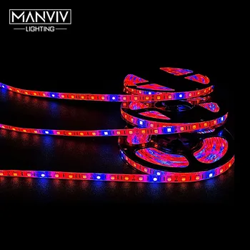 

LED Grow Light Strip SMD5050 5 Meters Full Spectrum DC 12V Waterproof IP20 IP65 60LEDs Per Meter For Greenhouse Hydroponic Plant