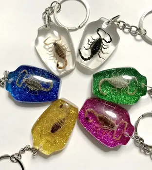 

YQTDMY Dozen Real Scorpion Keychain/Keyring in Mixed Colorful Artificial Resin Scorpion key-chains