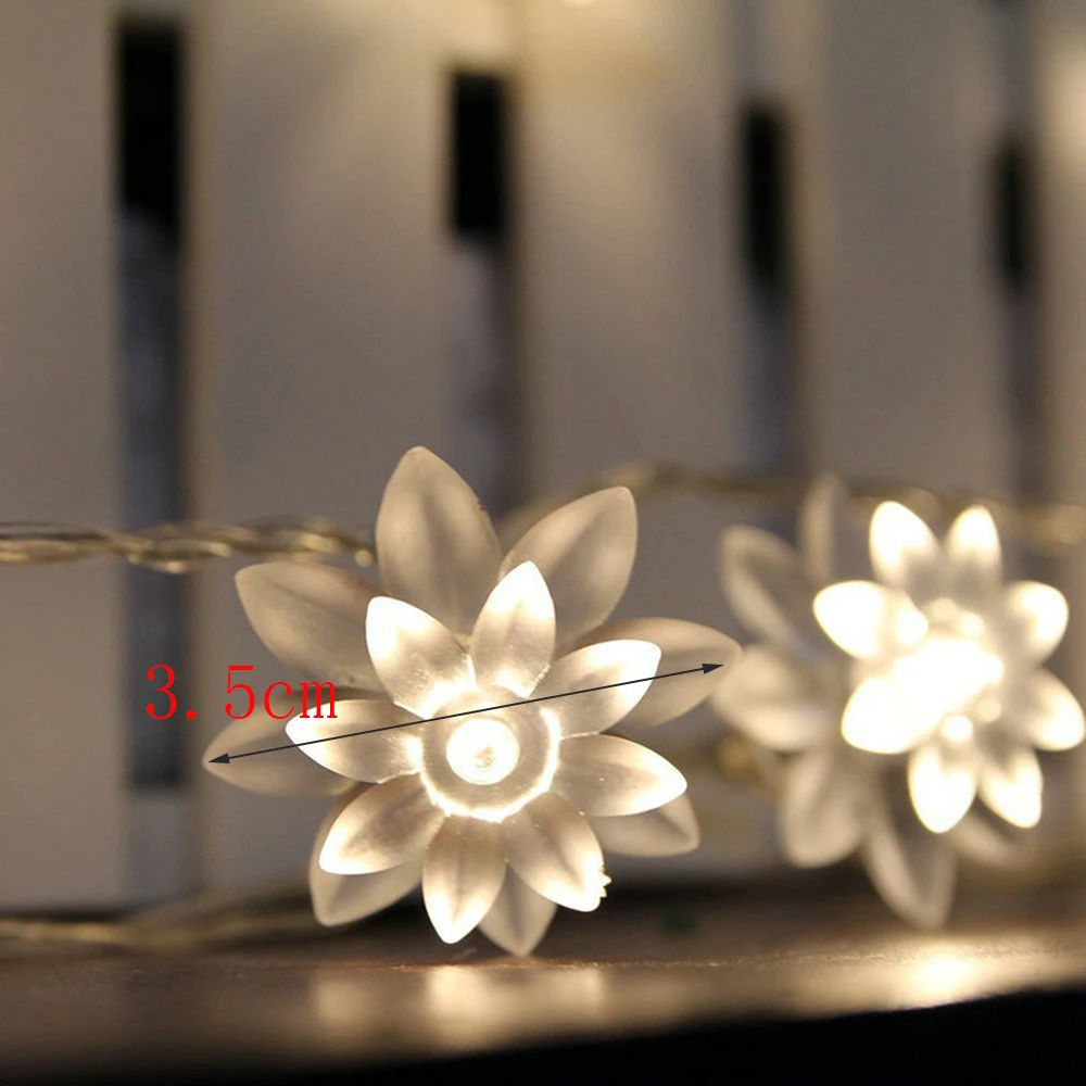 fk193 (2)