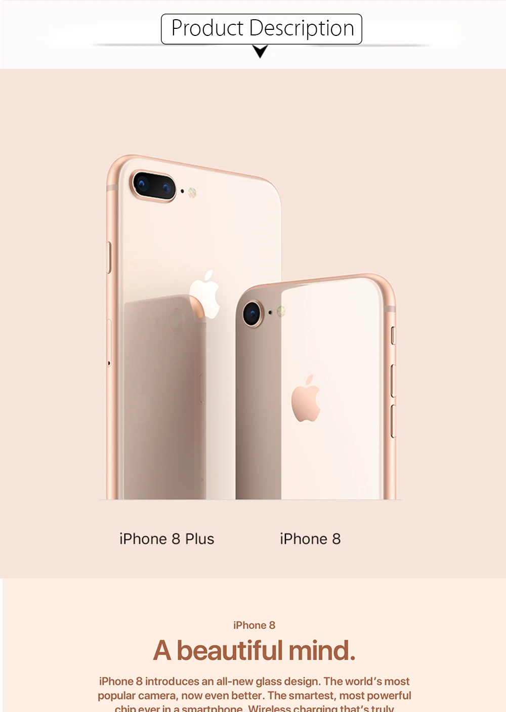 ios cell phone Apple iPhone 8 4.7" 2GB RAM 64GB/256GB ROM Wireless charge Hexa Core 12MP Touch ID Original iOS Unlocked 4G LTE Mobile Phone cellphones apple