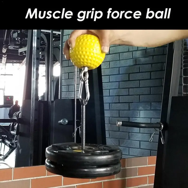 fitness arm muscle training